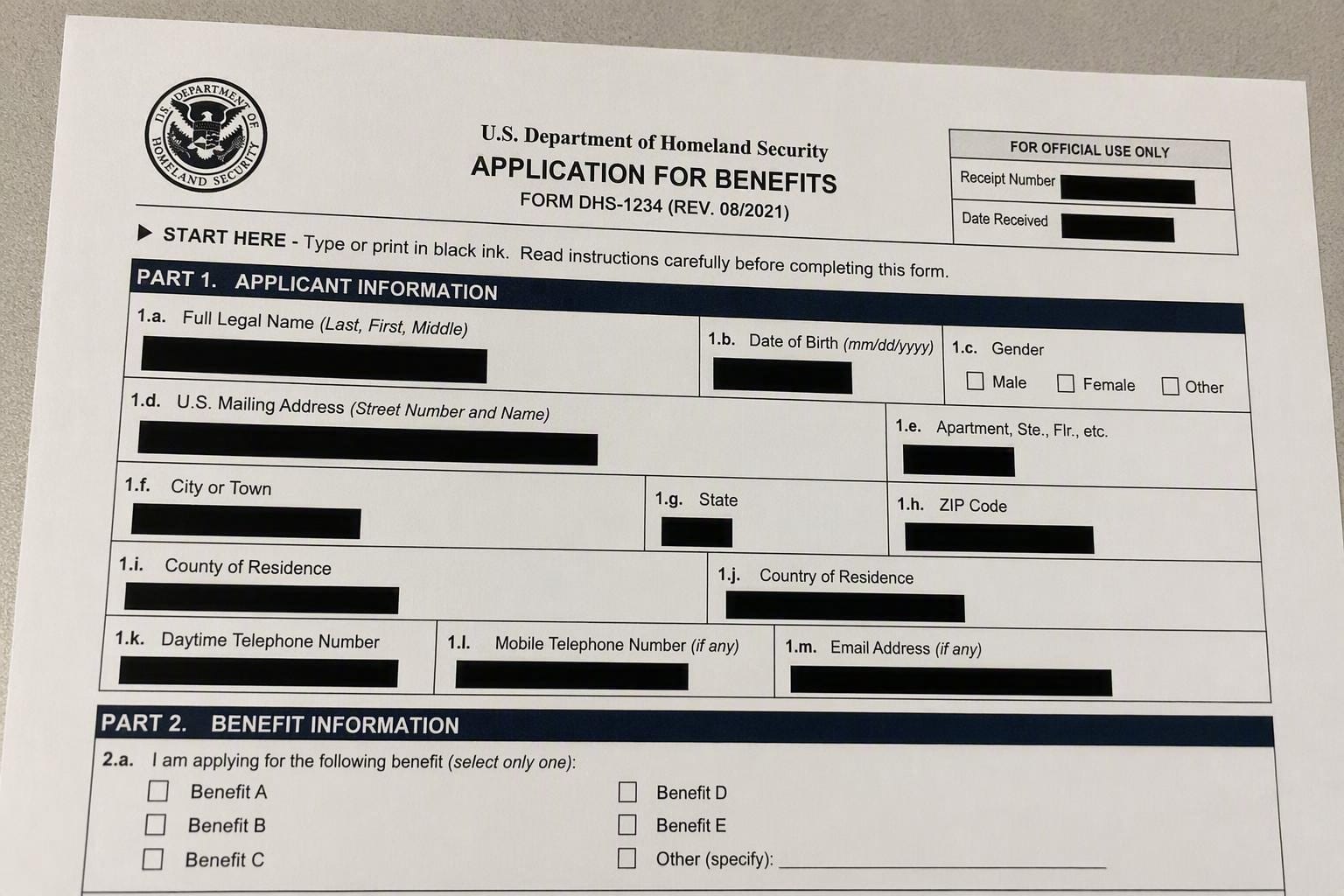 redacted government form black bars